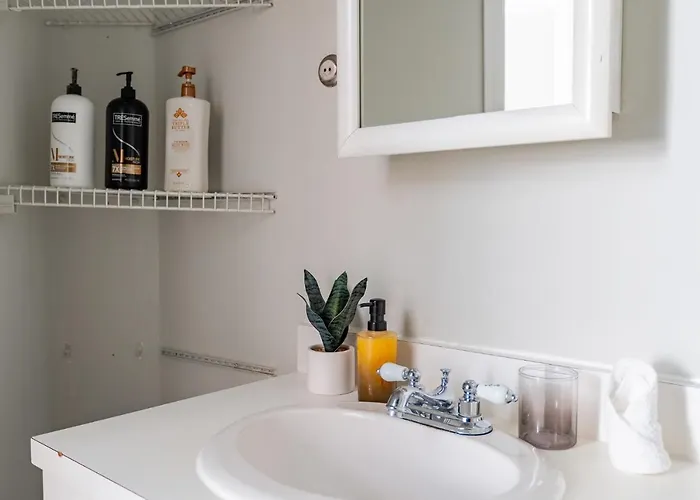 Appartement Walker's Paradise 1br In Lincoln Park - Lincoln 2501